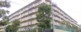 TnCc˒